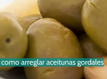 Cómo arreglar las aceitunas gordales