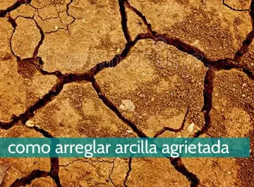 Cómo arreglar arcilla agrietada