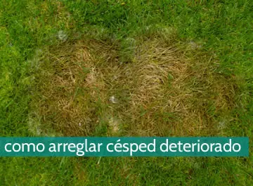Cómo arreglar un césped deteriorado