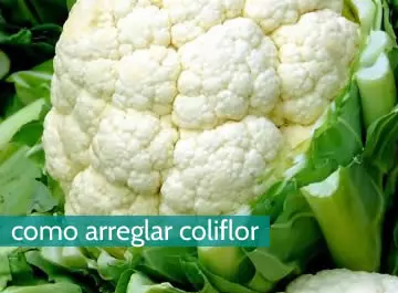 Cómo arreglar coliflor