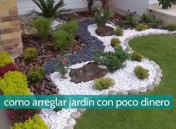 Cómo arreglar el jardín con poco dinero