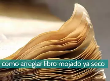 Cómo arreglar un libro mojado ya seco