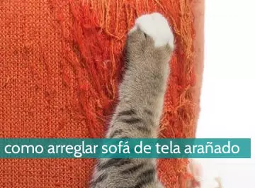 Cómo arreglar un sofá de tela arañado