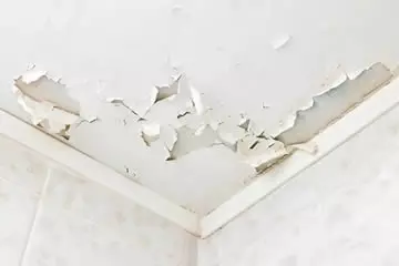 arreglar techo baño
