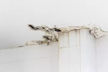 arreglar techo baño