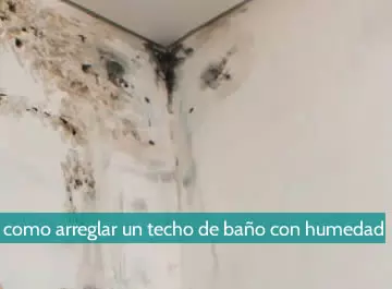 Cómo arreglar un techo de baño con humedad